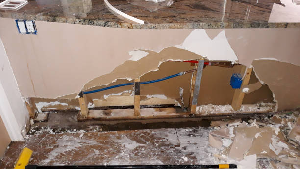 Best Mold removal after water damage  in Woodstock, GA