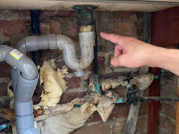 Best Flood damage cleanup  in Woodstock, GA