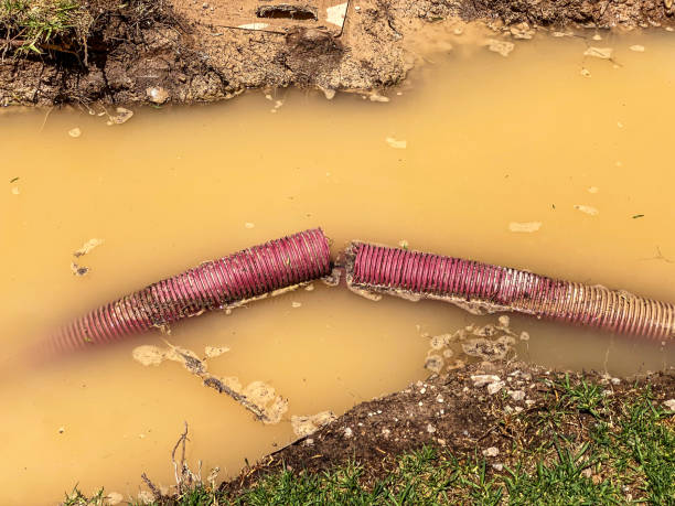 Carpet water damage restoration in Woodstock, GA